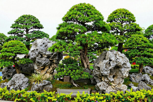 Penjing: l’arte millenaria cinese che racconta storie attraverso la natura in miniatura